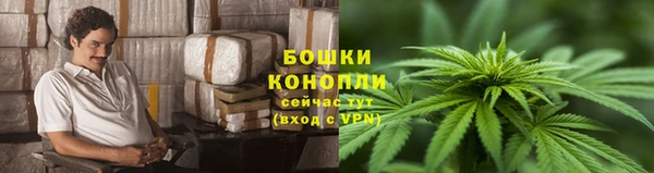 марки nbome Горняк