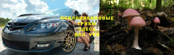 марки nbome Горняк